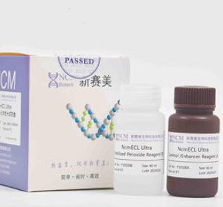 P10300 超敏ECL化学发光试剂盒