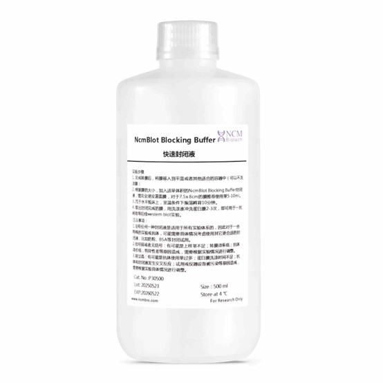 P30500 快速封闭液(NcmBlot blocking buffer)